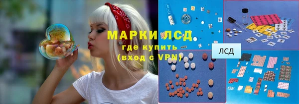 индика Алзамай