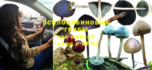 дживик Абаза