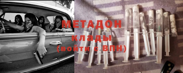 индика Алзамай
